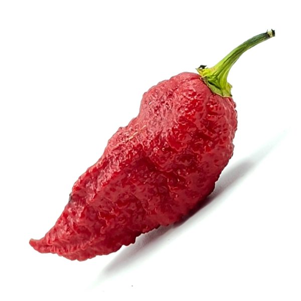 PIANTA DI PEPERONCINO CHINENSE NAZGUL’S BREAKFAST RED - immagine 2