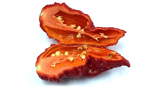 SEMI ISOLATI PEPERONCINO NAZGUL'S BREAKFAST RED - immagine 2