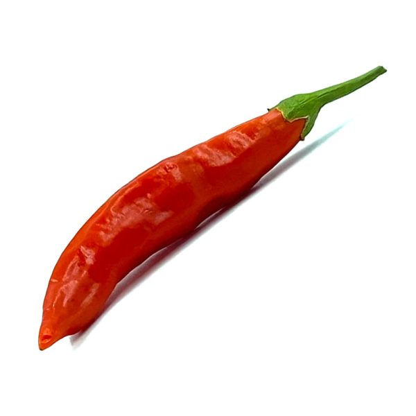 SEMI ISOLATI DI PEPERONCINO AJI BUBBA BACCATUM new