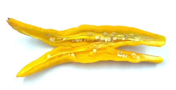 SEMI ISOLATI DI PEPERONCINO AJI GUYANA CAPSICUM BACCATUM new - immagine 3