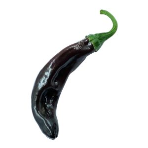 SEMI ISOLATI DI PEPERONCINO PASILLA BAJO CAPSICUM ANNUUM