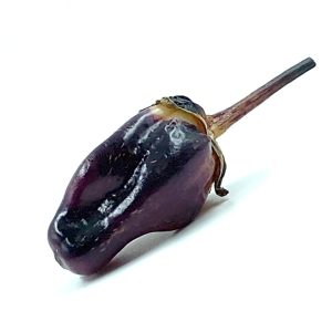 SEMI ISOLATI DI PEPERONCINO BBG MAMP BERRYGUM CHINENSE