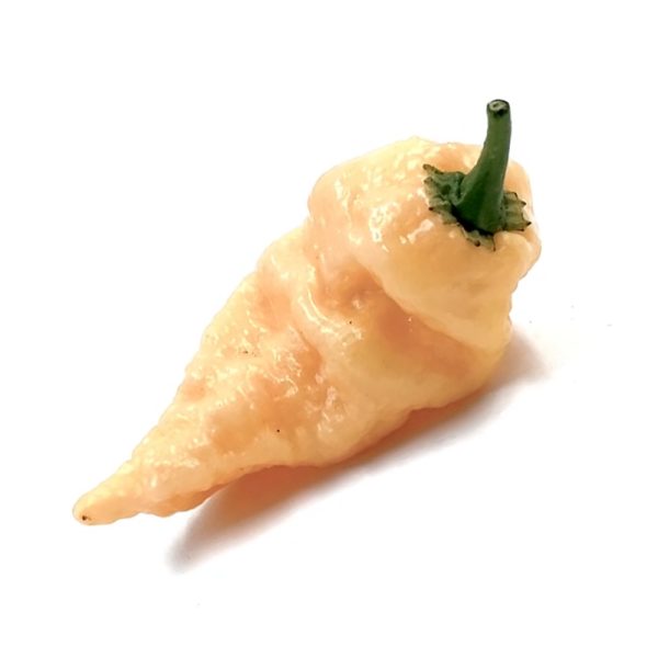 SEMI ISOLATI PEPERONCINO BENGAL NAGA PEACH CHINENSE