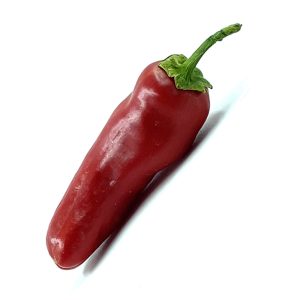 SEMI ISOLATI PEPERONCINO JALAPENO BIG JIM ANNUUM