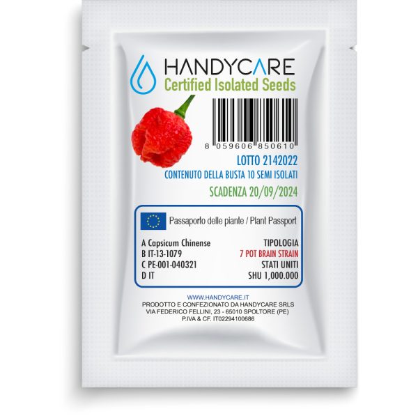 SEMI ISOLATI PEPERONCINO 7 POT BRAIN STRAIN RED CHINENSE - immagine 2