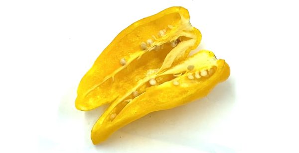 SEMI ISOLATI PEPERONCINO FATALII YELLOW CHINENSE - immagine 3