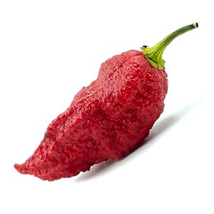 SEMI ISOLATI PEPERONCINO CAROLINA REAPER LONG RED