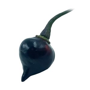 SEMI ISOLATI PEPERONCINO CHUPETINHO BLACK CHINENSE
