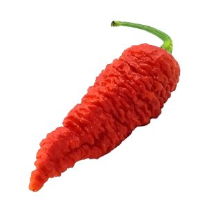SEMI ISOLATI PEPERONCINO DEVIL'S BRAIN RED CHINENSE