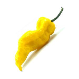 SEMI ISOLATI PEPERONCINO HABANERO HOT LEMON