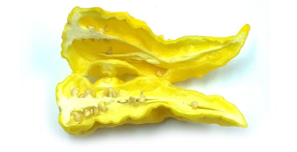 SEMI ISOLATI PEPERONCINO HABANERO HOT LEMON - immagine 3