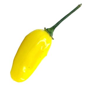 SEMI ISOLATI PEPERONCINO HABANERO YELLOW BULLET CHINENSE
