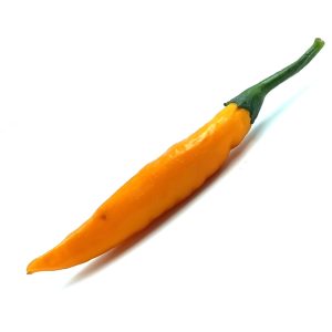 SEMI ISOLATI PEPERONCINO HEATWAVE ORANGE ANNUUM