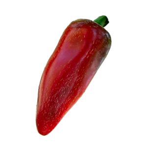 SEMI ISOLATI PEPERONCINO JALAPENO BIG PIT ANNUUM