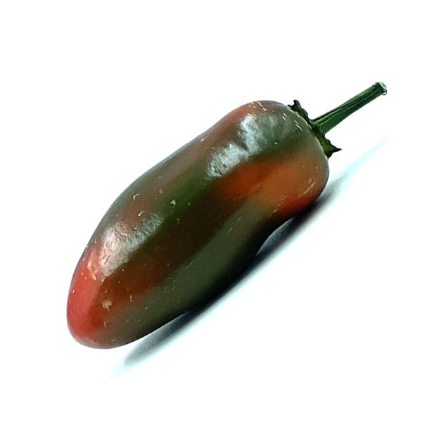 PIANTA DI PEPERONCINO ANNUUM JALAPENO CONCHOS - immagine 2