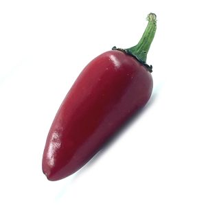 SEMI ISOLATI PEPERONCINO JALAPENO RED ANNUUM