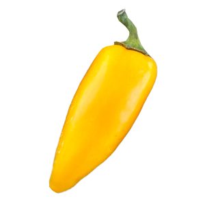 SEMI ISOLATI PEPERONCINO JALAPENO YELLOW ANNUUM
