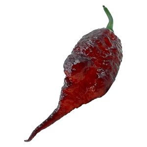 SEMI ISOLATI PEPERONCINO JAY’S X PINK DAVS new