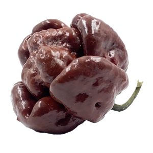 SEMI ISOLATI PEPERONCINO MORUGA SCORPION CHOCOLATE