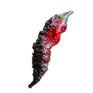 SEMI ISOLATI PEPERONCINO NAGA TWISTER CHINENSE