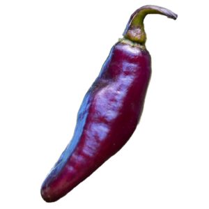 SEMI ISOLATI PEPERONCINO PIMENTA DA NEYDE CHINENSE
