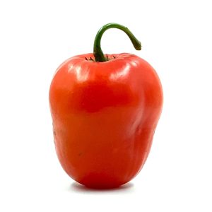 SEMI ISOLATI DI PEPERONCINO ROCOTO MANZATO PUBESCENS